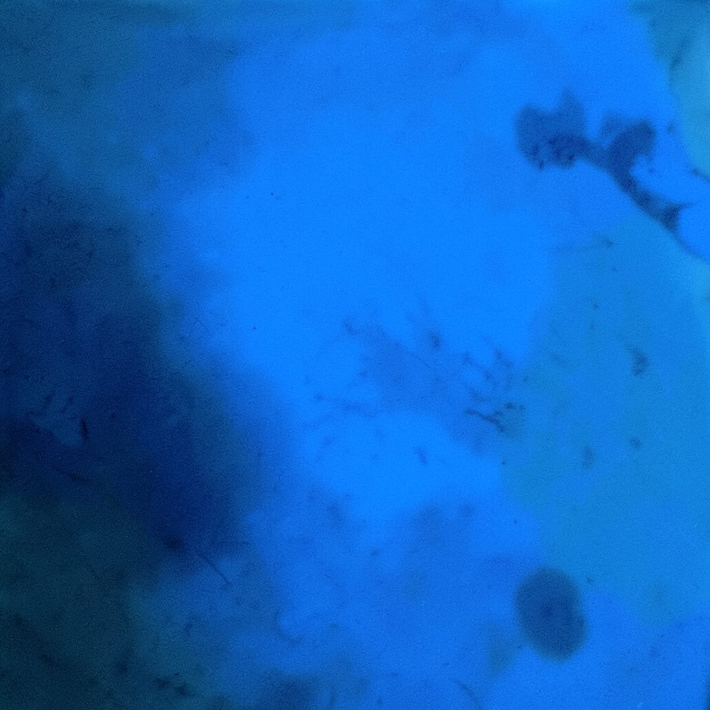 Fotografía en duotono azul y blanco de un entorno institucional con luz natural, transmitiendo formalidad y apertura.